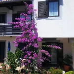 Apartments Barac